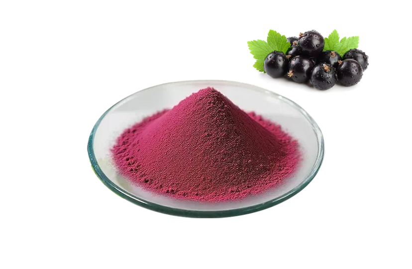Blackcurrant Powder